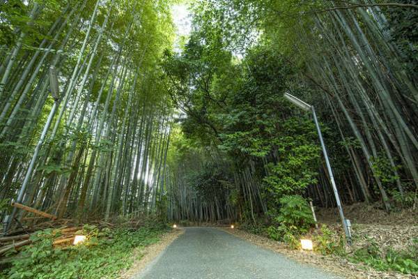 ＜HOTEL 継　KEI　リニューアルオープン＞兵庫県姫路市に竹をモチーフにしたオシャレなレジャーホテルがOPEN