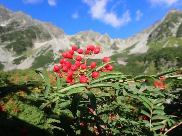 “残り9日”信州の山小屋を支援するクラウドファンディングを実施中　山小屋がなくなる危機！？登山を楽しめる環境を維持していくため、エールを送りませんか。