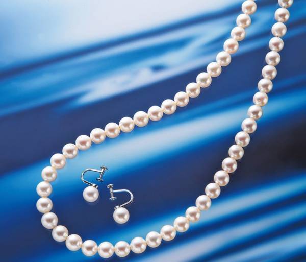 三重県の産品を集めたイベント開催