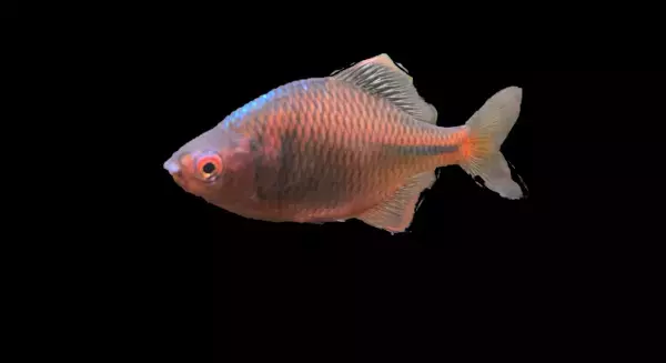 【近鉄百貨店】環境保全をテーマにしたアート作品や、「里山を守る活動」の紹介など、“サステナブル”な取り組みを強化する“HAPIECO WEEK（ハピエコウィーク）”を開催