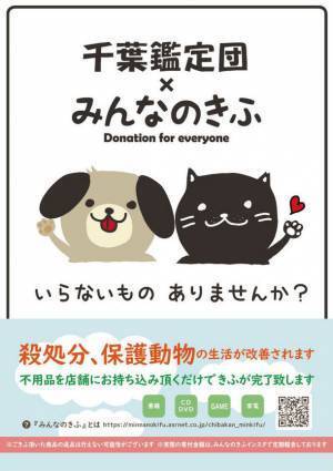 リサイクルショップに不用品を持ち込んで動物保護活動へ寄付！「千葉鑑定団」×「みんなのきふ」が提携　寄付品買取の受付を開始