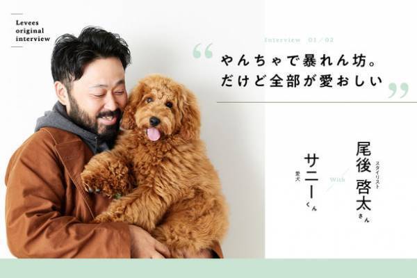 動物たちの権利を考え貢献する「Levees(レビーズ)」　ペット愛好家のための公式ECサイトを開設