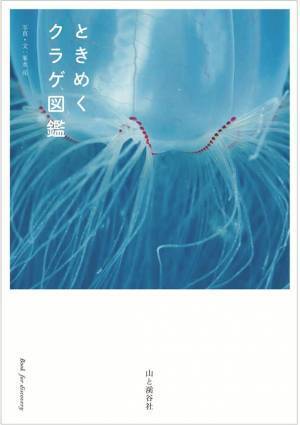 クラウドファンディングサイト CAMPFIREにてプロジェクト『海の小さな生き物たちをもっと世の中に広めたい』を発表～ネクストゴールを目指しています～