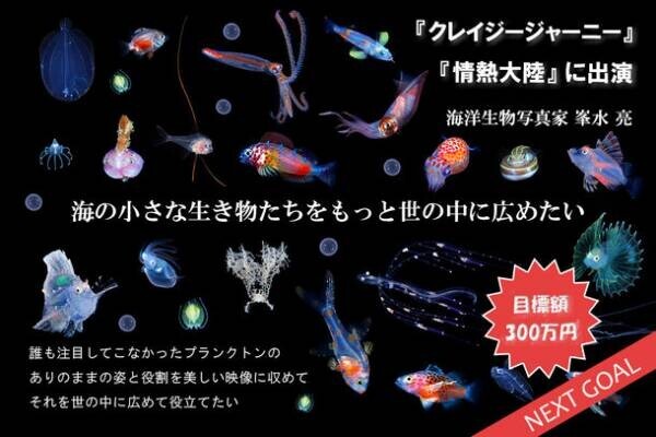 クラウドファンディングサイト CAMPFIREにてプロジェクト『海の小さな生き物たちをもっと世の中に広めたい』を発表～ネクストゴールを目指しています～