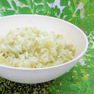 SDGs環境と健康に嬉しい“モリンガ乳酸菌もち麦”「CO2・栄養・乳酸菌も食べちゃう米(よね)」が10月1日に発売