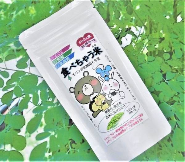 SDGs環境と健康に嬉しい“モリンガ乳酸菌もち麦”「CO2・栄養・乳酸菌も食べちゃう米(よね)」が10月1日に発売
