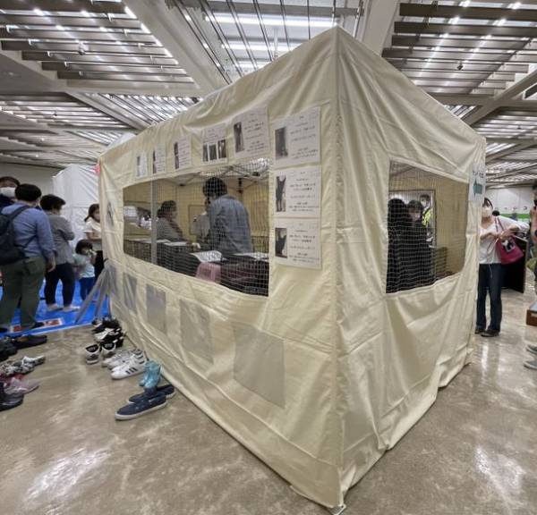 イエネコの完全室内飼養をサポートする「まもるんキャット」　ネコ空間プロデューサーがつくる「猫譲渡会ハウス」を受注開始　動物愛護DAYイベントで、保護猫達の終生飼養を約束する飼い主との出会いの場に一役貢献