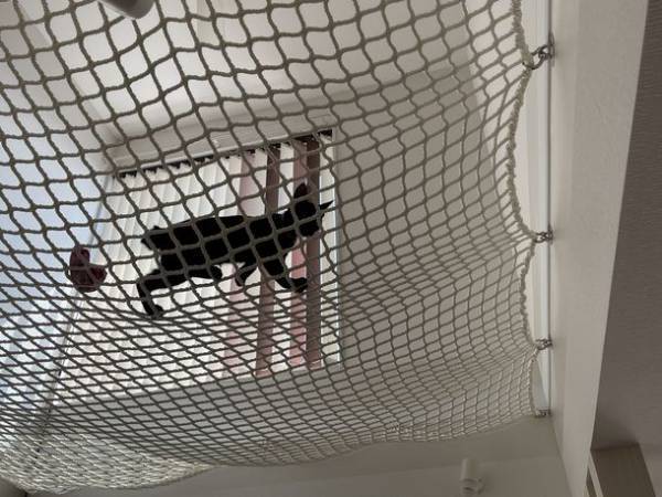 イエネコの完全室内飼養をサポートする「まもるんキャット」　ネコ空間プロデューサーがつくる「猫譲渡会ハウス」を受注開始　動物愛護DAYイベントで、保護猫達の終生飼養を約束する飼い主との出会いの場に一役貢献