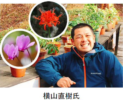 原種シクラメン「シクラメン・ヘデリフォリウム」約500株の群落が見頃です！