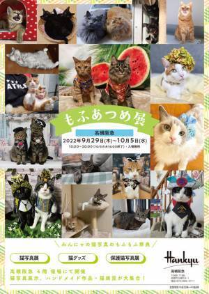 猫写真展「もふあつめ展」が大阪府の高槻阪急で9月29日(木)～10月5日(水)に開催！猫写真や猫作品約800点が大集合