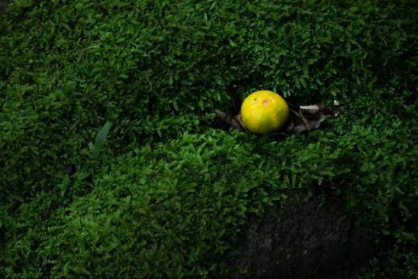 アジア5カ国の現代の信仰や死生観をテーマとしたアートのミニフェスが11月4日からオンライン・オンサイト同時開催