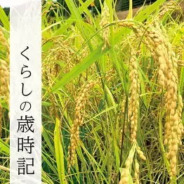 ～暦を感じる和の暮らしを提案するお店～京阪百貨店「くらしのこみち」公式オンラインショップが9月29日(木)にオープン　