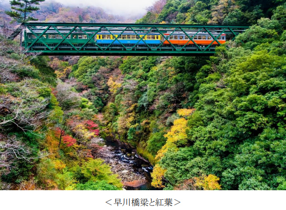 紅葉狩りの旅行先ランキング！1位はやっぱり？アンケート調査結果を阪急交通社が公開