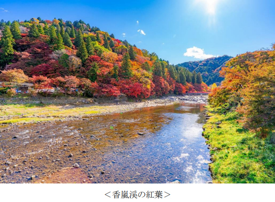 紅葉狩りの旅行先ランキング！1位はやっぱり？アンケート調査結果を阪急交通社が公開