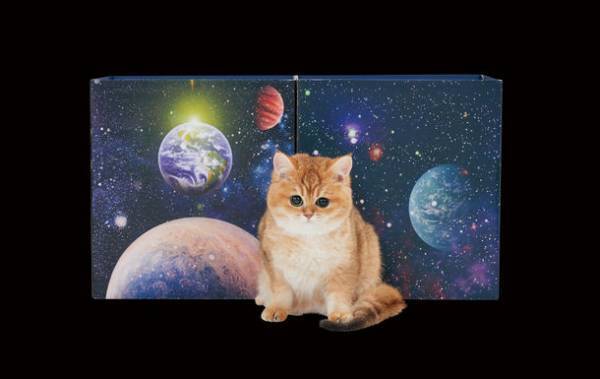 ペピイは、スーパーミステリー・マガジン月刊「ムー」にて初の「公認猫グッズ」を2022年10月6日に数量限定で発売