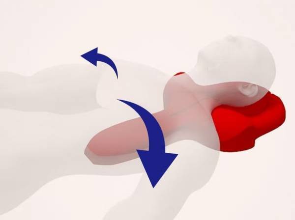 完売で販売見合わせ！猫背・巻き肩ケアの『ゴッチョ背まくら』が待望の予約受付再開！国内唯一の販売サイト「背ラピストStore」にて