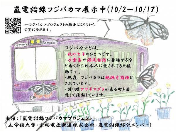 昨年に続き実施！絶滅寸前種「フジバカマ」を嵐電の駅に展示