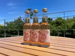 みんなでかなでる♪くずは 秋の芸術祭開催について