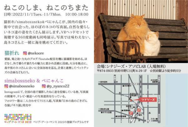 大分県別府市にて「ねこのしま、ねこのちまた」写真展を開催　VRヘッドセットで視聴する360度動画も展示！