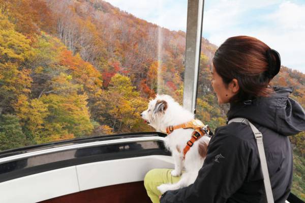 ≪GET ACTIVE！≫今年の秋は“一味”違う行楽シーズンを過ごしませんか？季節を肌と舌で感じる、2022年秋イベントフェアのご案内