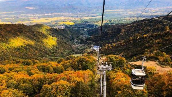 ≪GET ACTIVE！≫今年の秋は“一味”違う行楽シーズンを過ごしませんか？季節を肌と舌で感じる、2022年秋イベントフェアのご案内