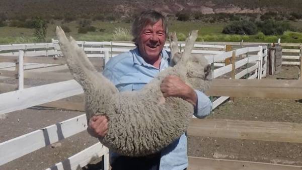 美濃和紙とオーガニックウールを使用したデニムパンツのプロジェクトを「CAMPFIRE」にて10/30まで実施！