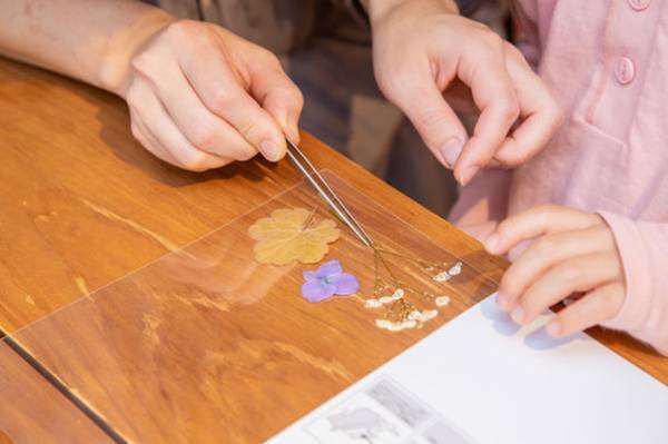 自然を感じ、親子で楽しめるイベント「色とりどり亀岡」　京都丹波／亀岡の夢コスモス園で10月2日から初開催