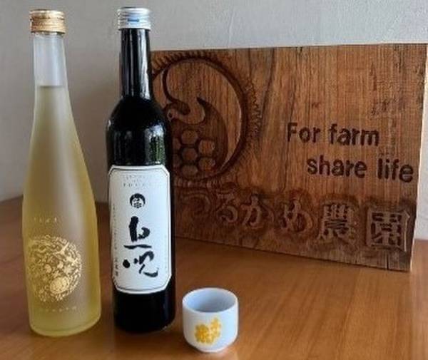 秋の味覚と楽しみたい！注目のジンから話題の地酒まで最新のイベントや今飲むべき旬の商品もご紹介！“銘酒の宝庫”千葉県が誇るうまいお酒特集