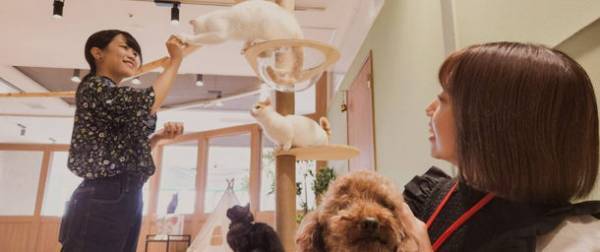 “人と動物の未来”を考える都市型ふれあい動物園「動物たちが暮らす森 アニミル」お台場にグランドオープン