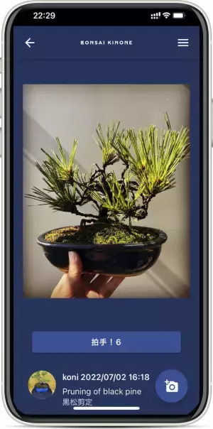 盆栽愛好家が気軽に集まれるコミュニティデザインSNS「BONSAI KINONE」がサービススタート