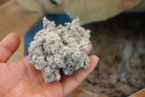 世界遺産・屋久島で高性能な暮らしを体感できる、宿泊施設を兼ねたコンセプトハウス「KeiU(ケーウ)」オープン