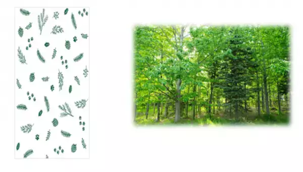 ワンちゃんと一緒に森をお散歩している気分になれる『デオシート消臭＆フレグランス　癒しのワンマイル　澄んだ森林浴の香り』を期間限定品として発売