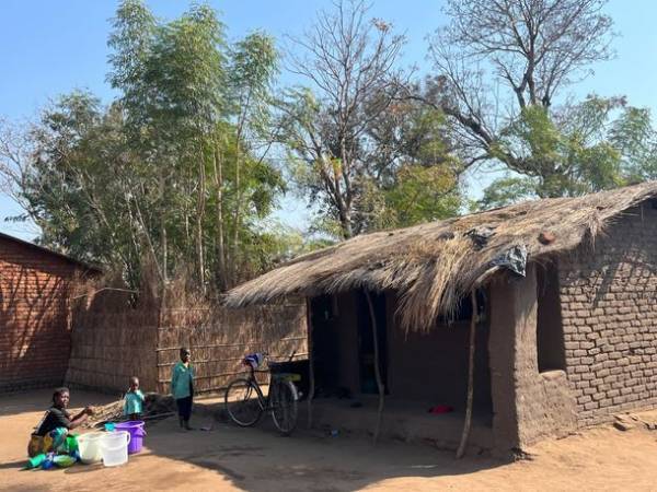 企業のSDGs貢献活動に「モリンガオーナー制度」始動　会員企業募集を10月13日開始　～植樹を通じてカーボンオフセットへ寄与～