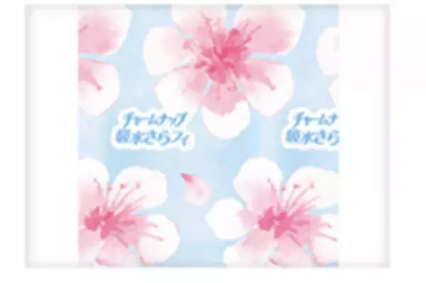 天然カテキン配合の抗菌シートに消臭機能を搭載した『チャームナップ 吸水さらフィ(R)消臭タイプ』15cc・70ccを新発売