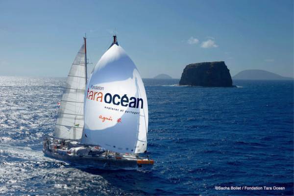 アーティスト日比野克彦の作品を中心としたTARA展　瀬戸内国際芸術祭2022秋会期の「粟島」会場で9/29～11/6の期間開催