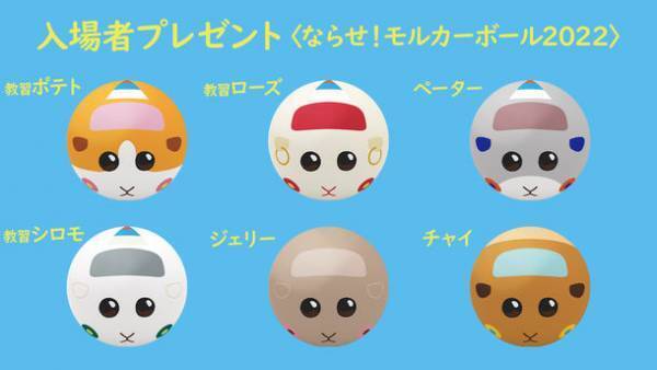 『PUI PUI モルカー DRIVING SCHOOL』いよいよ明日あさ7時よりテレビ東京「イニミニマニモ」内にて放送スタート！今作の舞台《ドライビングスクール》制作映像初公開！