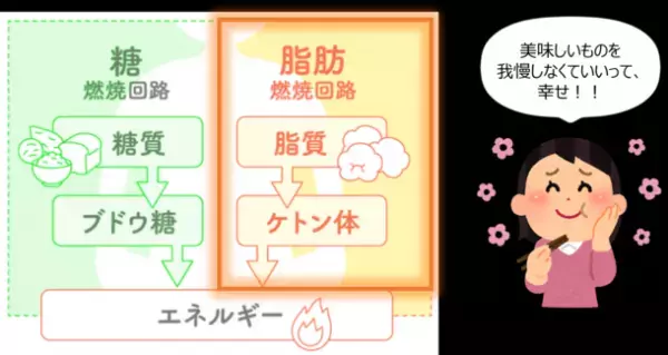 ＜「MCTプラス・コンソーシアム」第4回メディアセミナー開催＞　太りやすい人・太りにくい人、その差は「ケトン体」にある！？