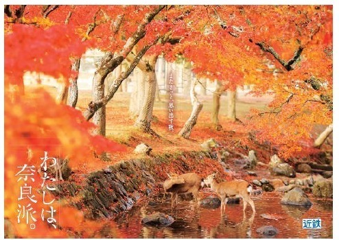 「わたしは、奈良派。」と奈良の人気かき氷店「ほうせき箱」がコラボキャンペーンを実施します