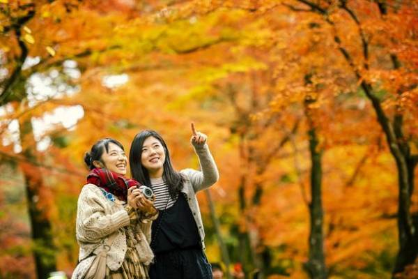 愛知県豊田市　“となりのとよた”紅葉スタンプラリー開催【10月29日～11月30日】