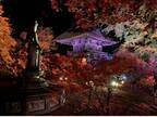 長野県大町市の紅葉スポットとして知られる霊松寺にて2022年10月29日～11月6日、紅葉ライトアップを開催