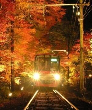 ～ 秋の夜空を彩る紅葉のライトアップ ～11月5日（土）～27日（日）に「京の奥座敷・貴船もみじ灯篭」 を開催します