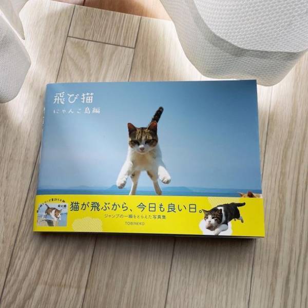 累計発行部数5万部越え、飛び猫シリーズ新刊「飛び猫　にゃんこ島編」が10月19日に発売