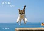 累計発行部数5万部越え、飛び猫シリーズ新刊「飛び猫　にゃんこ島編」が10月19日に発売