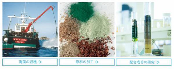 フランス製自然派基礎化粧品「ISOMARINE(イソマリン)」　スキンケアラインから5点を50％OFF『お試し価格』で販売開始