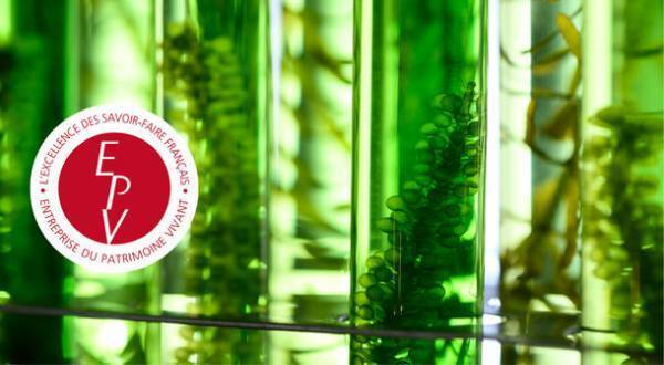 フランス製自然派基礎化粧品「ISOMARINE(イソマリン)」　スキンケアラインから5点を50％OFF『お試し価格』で販売開始