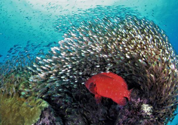 「交通総合文化展2022」10月19日から開催　写真・俳句の公募優秀作品や、著名芸術家の作品などを展示