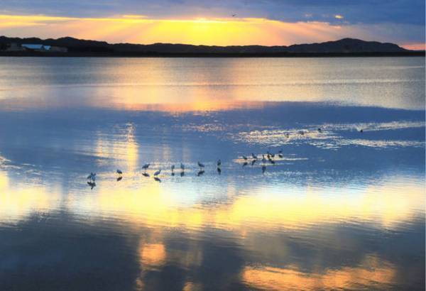 「交通総合文化展2022」10月19日から開催　写真・俳句の公募優秀作品や、著名芸術家の作品などを展示