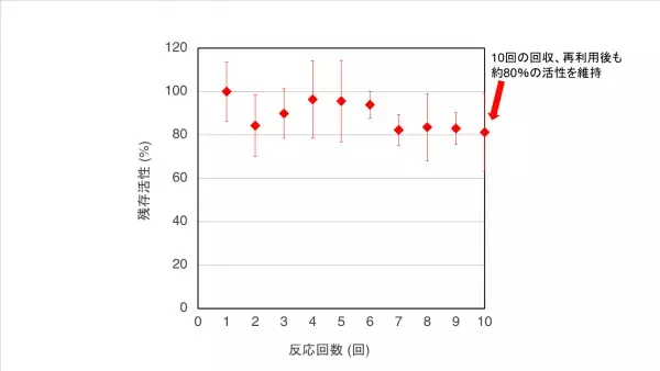 熱安定性の高いユニークなアミラーゼを発見固定化による酵素の安定性向上にも成功