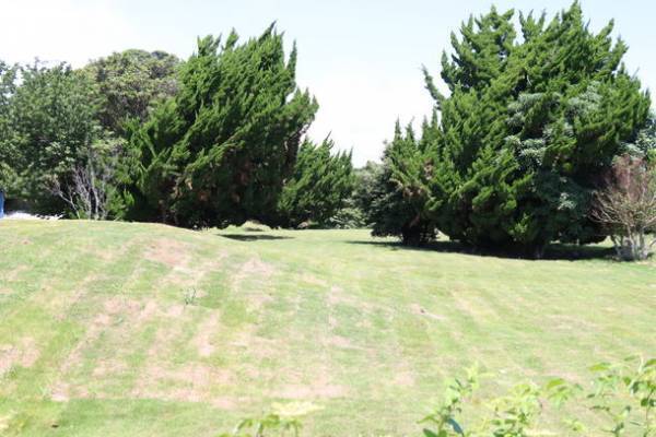 北欧のオーロラ観察をモチーフとしたグランピング施設内に満天の星と天空露天風呂が楽しめるキャンプ場をオープン