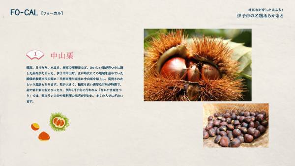 北乃きいさんがたくさんの“初めて”を体験する旅へ「旅色FO-CAL」伊予市特集公開